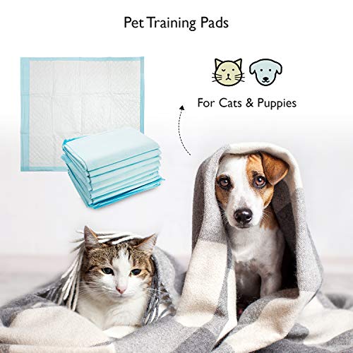 PROcure Pro Cure Heavily Absorbent Disposable Underpads, 30" x 30", 10 Pack - Soft and Thick Quilted Waterproof Pads for Incontinence, Bed Wetting, Pets - Liners for Mattresses, Sofas, Chairs - Image 4