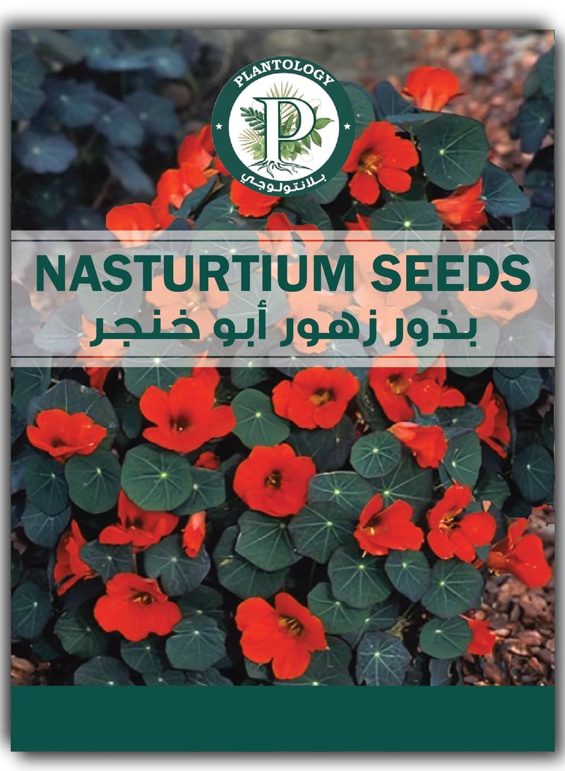 بذور الكبوسين للزراعة - بذور زهرة الكبوسين للزراعة - Image 1