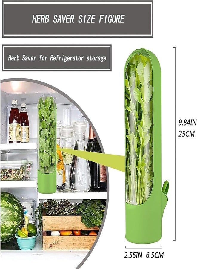 Paghadi Herb Storage Containers for Refrigerator Herb Saver Pod Cilantro Containers for Refrigerator Herb Storage for Cilantro Parsley Asparagus Keeps Vegetables Fresh for 2-3 Week (Black) - Image 3