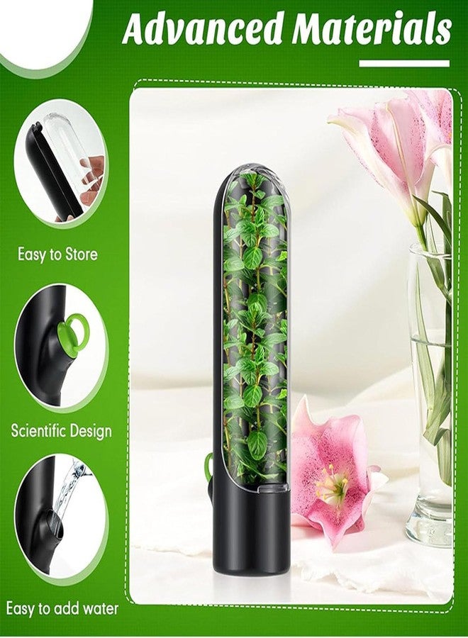 Paghadi Herb Storage Containers for Refrigerator Herb Saver Pod Cilantro Containers for Refrigerator Herb Storage for Cilantro Parsley Asparagus Keeps Vegetables Fresh for 2-3 Week (Black) - Image 2