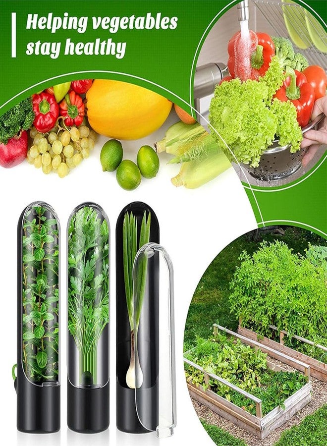 Paghadi Herb Storage Containers for Refrigerator Herb Saver Pod Cilantro Containers for Refrigerator Herb Storage for Cilantro Parsley Asparagus Keeps Vegetables Fresh for 2-3 Week (Black) - Image 4