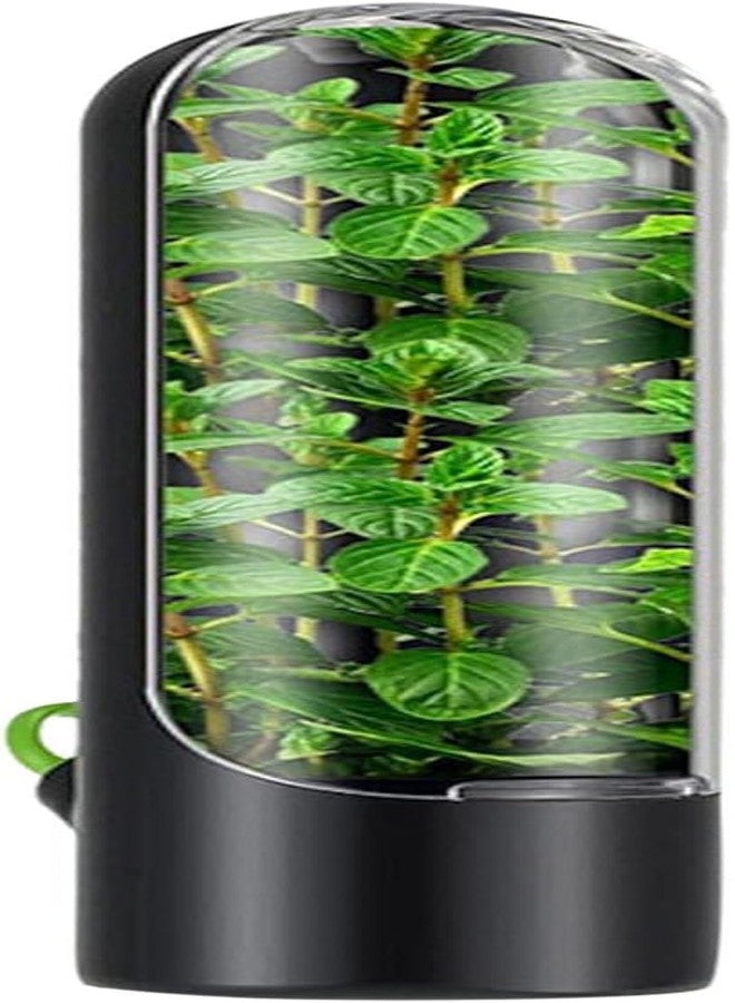 Paghadi Herb Storage Containers for Refrigerator Herb Saver Pod Cilantro Containers for Refrigerator Herb Storage for Cilantro Parsley Asparagus Keeps Vegetables Fresh for 2-3 Week (Black) - Image 1