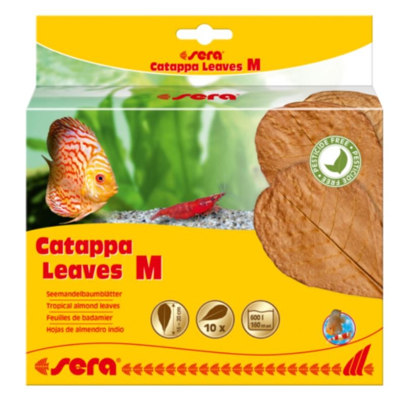 Sera Medium Catappa Leaves for Aquariums (16-20cm) , 10 per pack