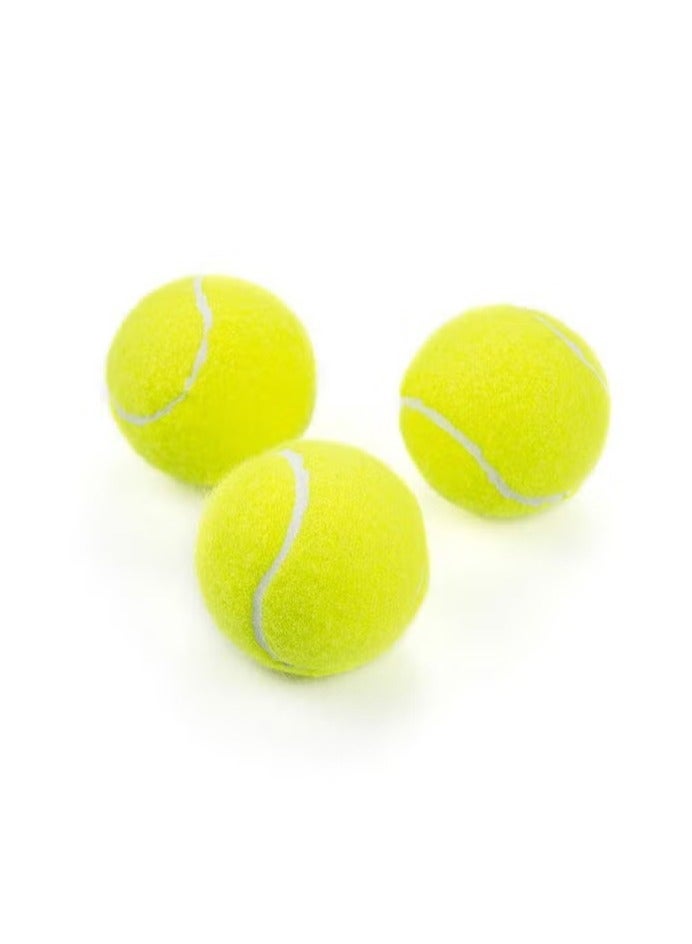 PYC 3 Piece Tennis Training Ball Set Suitable for Tournaments, Clubs, Cricket and Tennis Courts, Can Also Be Used for Tennis Training, Dog Toys, Body Massage - Image 1