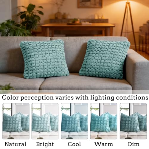 COCOPLOCEUS Pillow Cover 24x24 1 Piece Velvet Euro Sham Decorative Farmhouse Pillowcase Boho Square Cushion Covers Soft Bubble Texture for Couch Sofa Bed Bedroom Car Living Room，Teal - Image 2