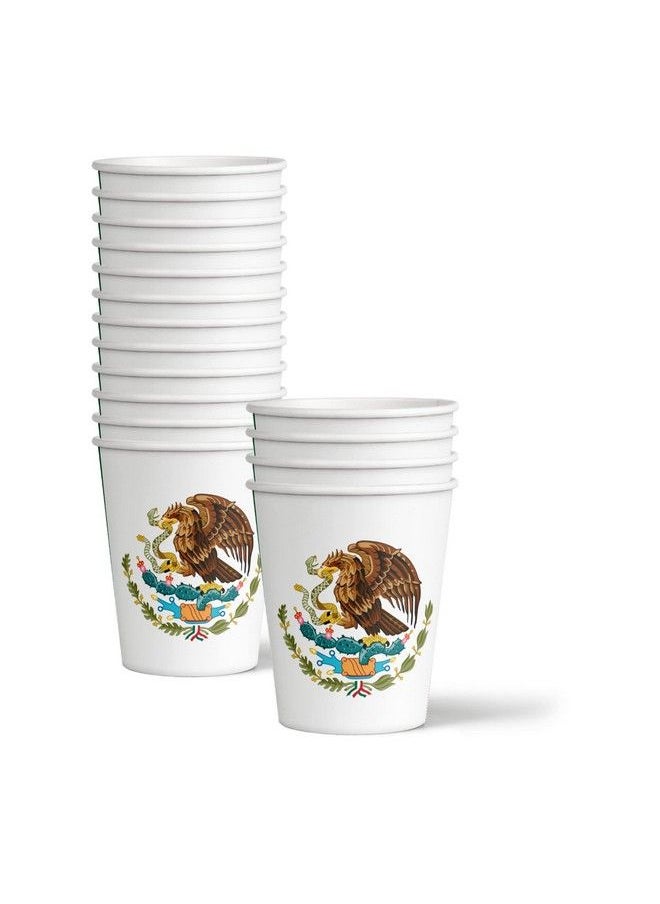 Birthday Galore - Mexico Flag Birthday Party Supplies Set Plates Napkins Cups Tableware Kit For 16 - Image 1