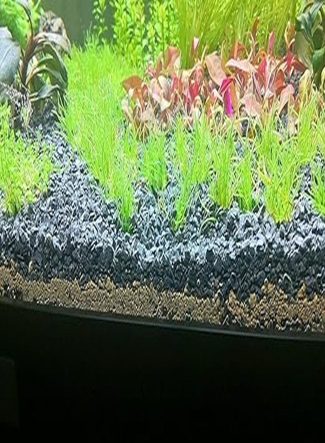 Maalavya Black Lava Chips for Aquarium Substrate/Base for Indoor Plants/Aquarium Planted Soil 2 KG - Image 2
