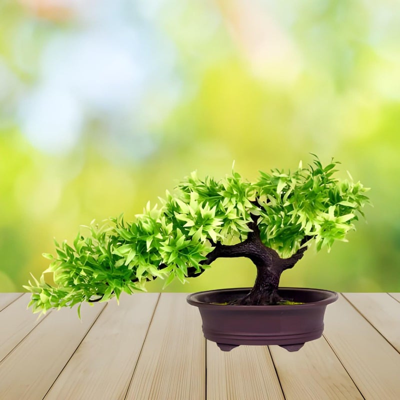 Bellveen Mini Artificial Green Leaf Tree with Pot for Home Decoration PE02