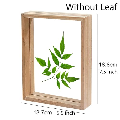 Desi Rang Wooden Frame for wall decor, table top, any plant leaf decoration, picture, photo, DIY, Gift item,home office desk (Rectangular) 7.5 x 5.5 inch - Image 4
