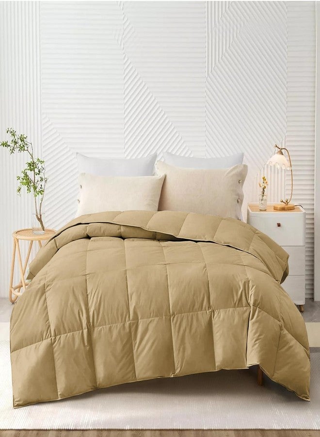 AYANSHI BEDDING Hotel Collection All Season 120 GSM Ac Comforter/Ac Blanket/Ac Duvet Double Bed Comforter (90" X 100" Inches) - Double Bed Comforter - Beige Color - Image 1