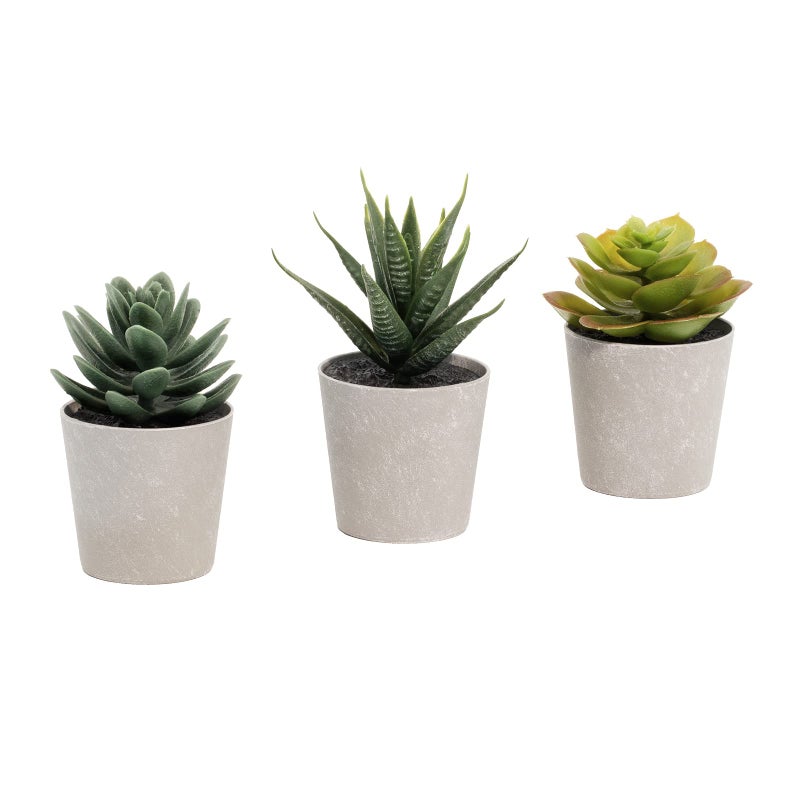 LuckyGreenery Artificial Succulents Set of 3 Mini Realistic Fake Plants with Plastic Pots for Home and Office Decoration  Including Aloe  Echeveria laui and Haworthia coarctata f. greenii  4in (H) x 3.5in (W)  - Image 1
