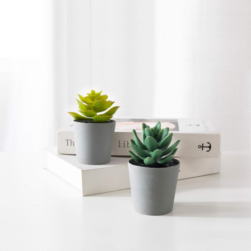 LuckyGreenery Artificial Succulents Set of 3 Mini Realistic Fake Plants with Plastic Pots for Home and Office Decoration  Including Aloe  Echeveria laui and Haworthia coarctata f. greenii  4in (H) x 3.5in (W)  - Image 5