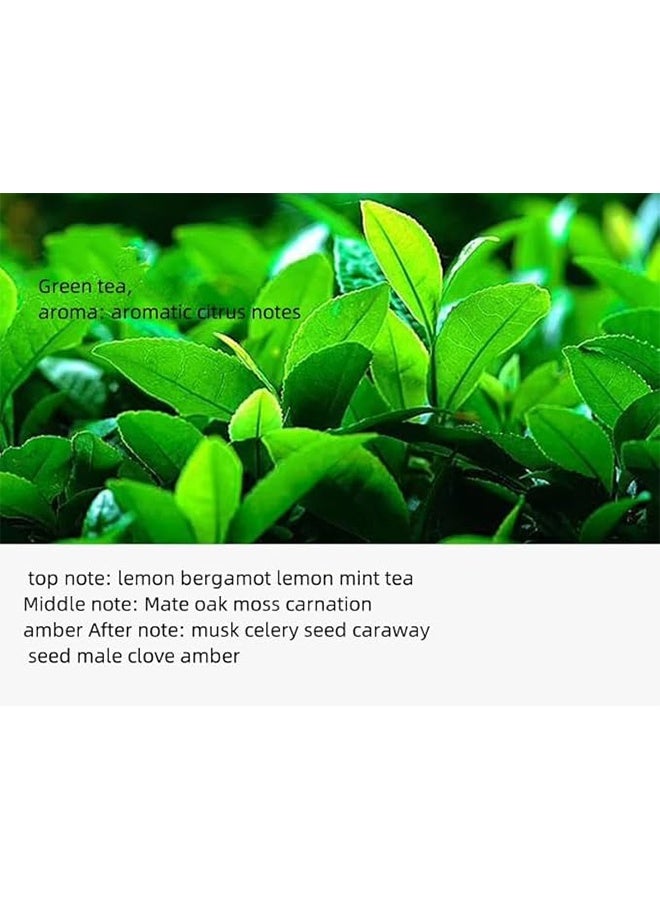 معطر جو صغير الحجم للسيارة، معطر جو حجري، برائحة الشاي الأخضر المنعشة. معطر جو دائم للسيارة. مناسب لخزائن الملابس، وخزانات الأحذية، والسيارات، وغيرها. - Image 5