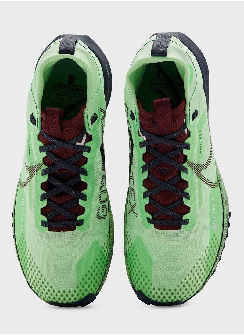 Nike - React Pegasus Trail 4 Gtx - Image 1
