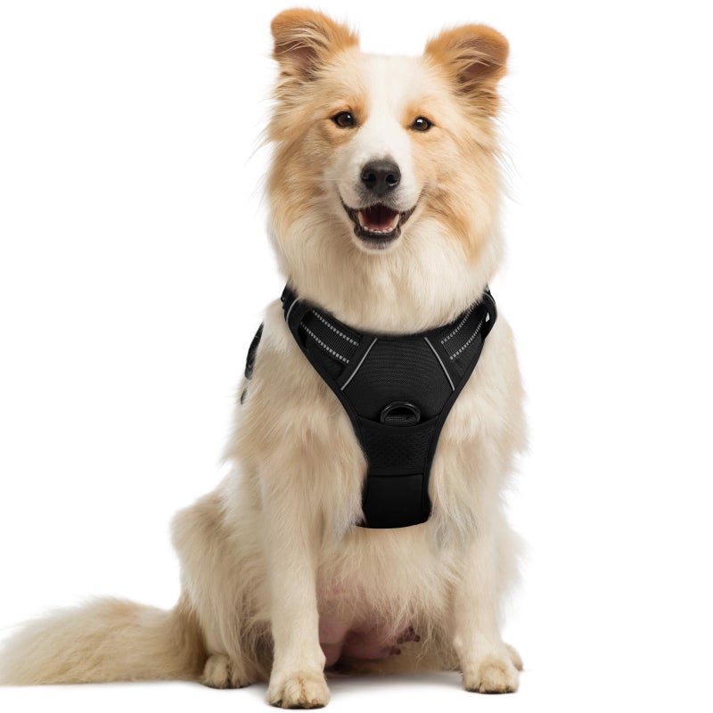 rabbitgoo Dog Harness No Pull with 2 Leash Clips, Adjustable Soft Padded, Reflective Oxford No Choke Pet Vest with Easy Control Handle for Medium Sized Dogs, Black, M - Image 1