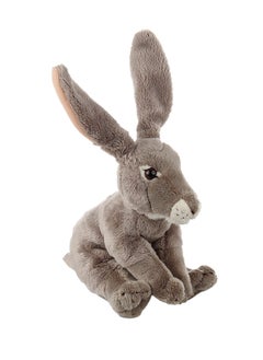 National Geographic Plush Premium Jack Rabbit 6-Inches  | Soft Toy | Plush Toy | Gift for Kids and Adults - pzsku/Z8E6FE234ADAD70A21274Z/45/1741072666/b8d5ba55-d88a-4b63-9416-58810da33287