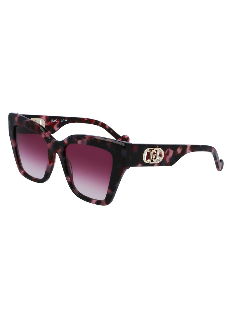 Liu Jo - FULL RIM ACETATE ACETATE LIU JO SUNS LJ777S 5318 (516) PURPLE TORTOISE - Image 1