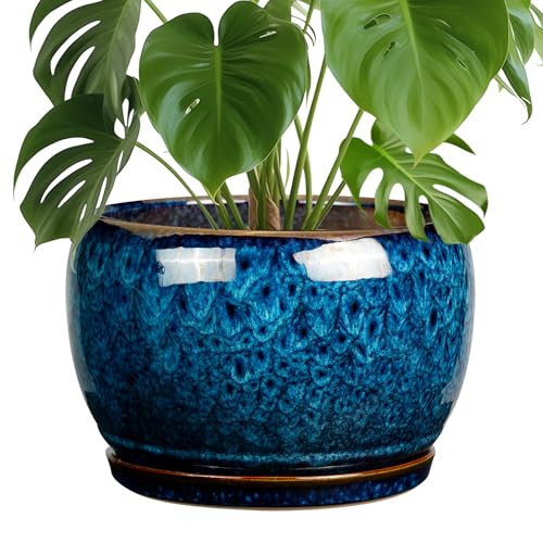 SQOWL 10 Inch Plant Pot - Ceramic Planter Pot with Drainage Hole and Saucer, Decorative Plant Pot for Indoor Outdoor Plants, Round Large Planter Flower Pot, Blue - Image 1
