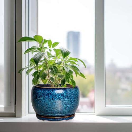 SQOWL 10 Inch Plant Pot - Ceramic Planter Pot with Drainage Hole and Saucer, Decorative Plant Pot for Indoor Outdoor Plants, Round Large Planter Flower Pot, Blue - Image 4