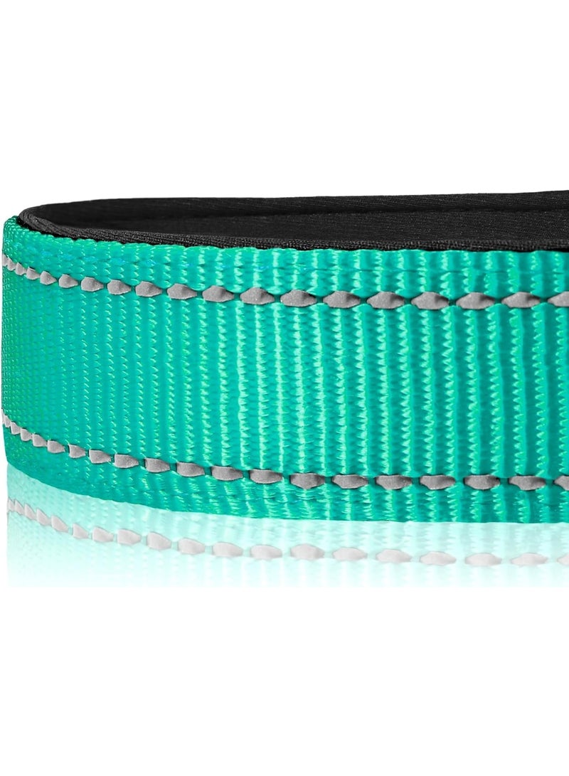 Q TRIPLE A Reflective Dog Collar with Soft Neoprene Padding, Metal D-Ring and Adjustable Length, Premium Nylon Material (Color: Turquoise) - Image 2