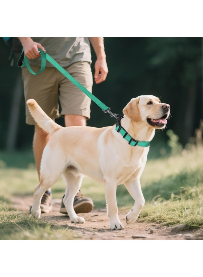 Q TRIPLE A Reflective Dog Collar with Soft Neoprene Padding, Metal D-Ring and Adjustable Length, Premium Nylon Material (Color: Turquoise) - Image 5