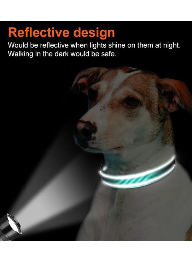 Q TRIPLE A Reflective Dog Collar with Soft Neoprene Padding, Metal D-Ring and Adjustable Length, Premium Nylon Material (Color: Turquoise) - Image 3