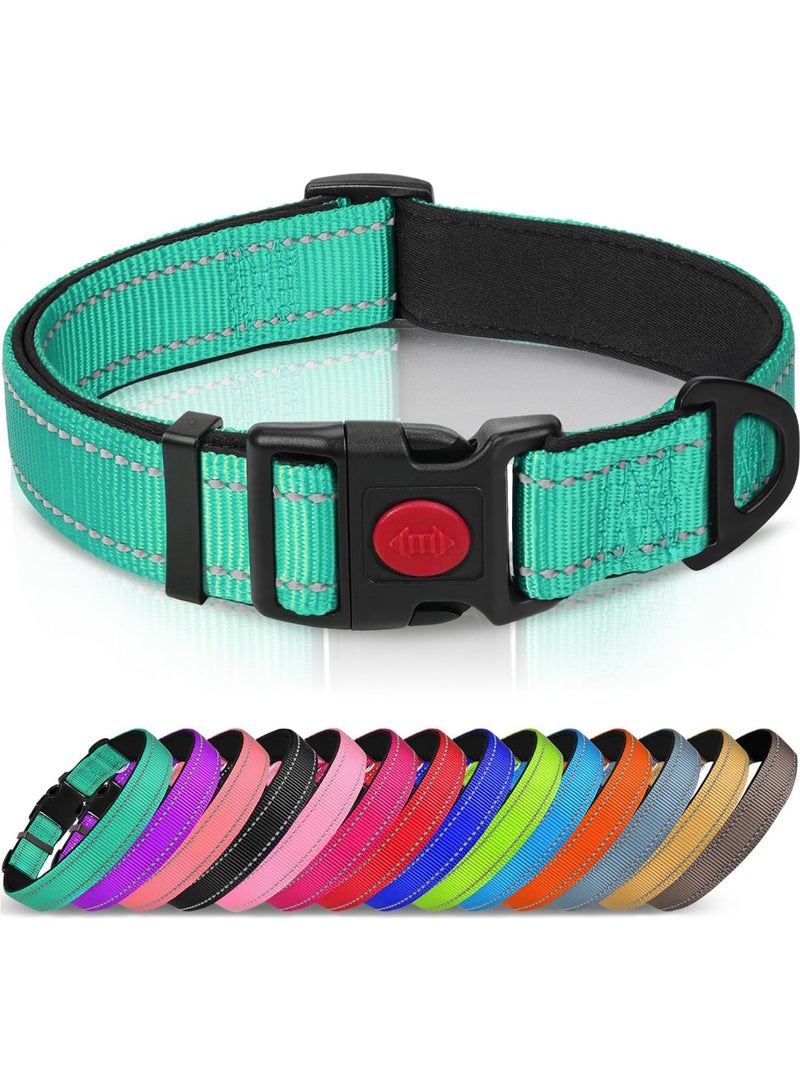 Q TRIPLE A Reflective Dog Collar with Soft Neoprene Padding, Metal D-Ring and Adjustable Length, Premium Nylon Material (Color: Turquoise) - Image 1