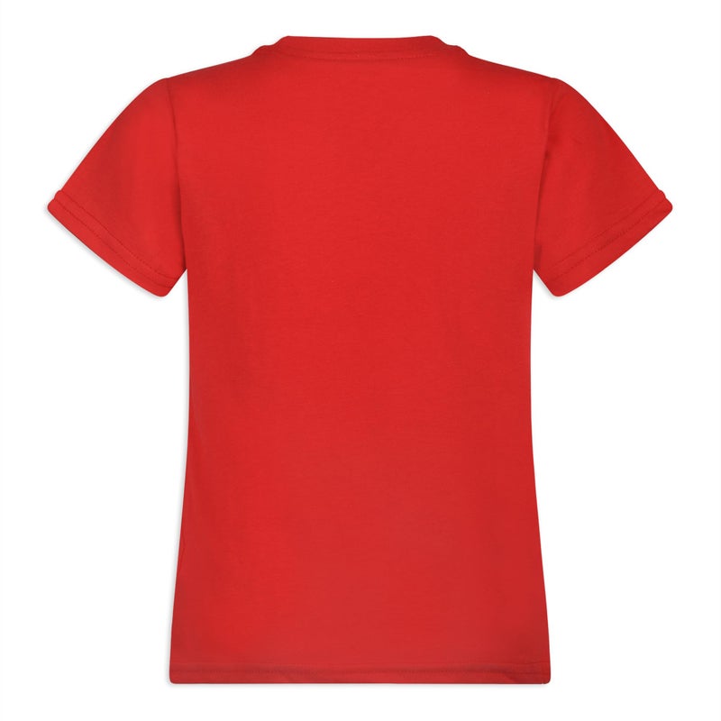 PAW PATROL باو باترول نيكيلوديون مجموعة 3 قطع تي شيرت بأكمام قصيرة للأولاد للأطفال الصغار والأطفال الكبار رمادي - Image 3