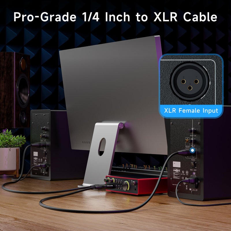 Cable Matters 6.35mm (1/4 Inch) TRS to XLR Cable - 6ft, Male to Male XLR to TRS Cable, Black - Image 3