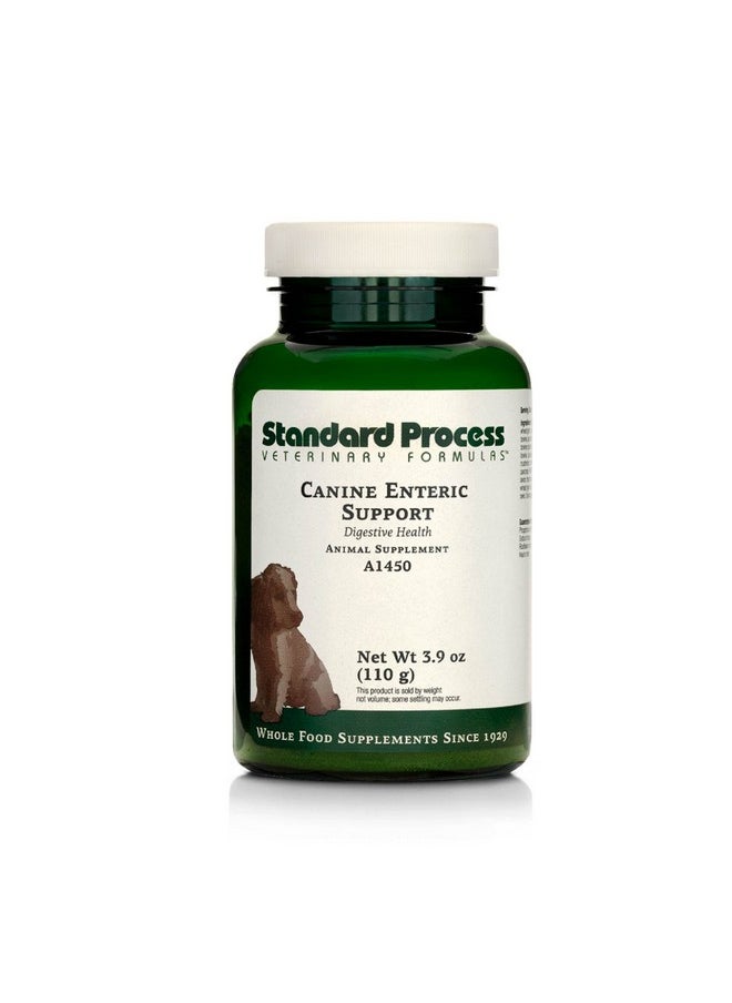 Standard Process Standard Process Canine Enteric Support - Digestive System Support for Dogs - Nutritional Dog Supplement for Gut Health - Canine Supplement Formula to Aid Healthy Digestion - 110 g  - Image 1