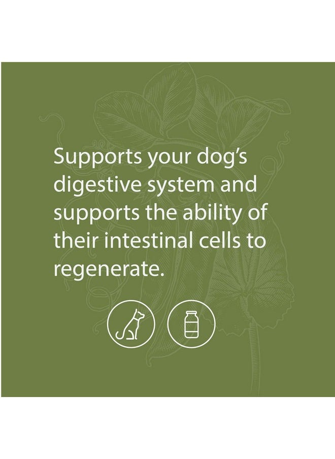 Standard Process Standard Process Canine Enteric Support - Digestive System Support for Dogs - Nutritional Dog Supplement for Gut Health - Canine Supplement Formula to Aid Healthy Digestion - 110 g  - Image 3