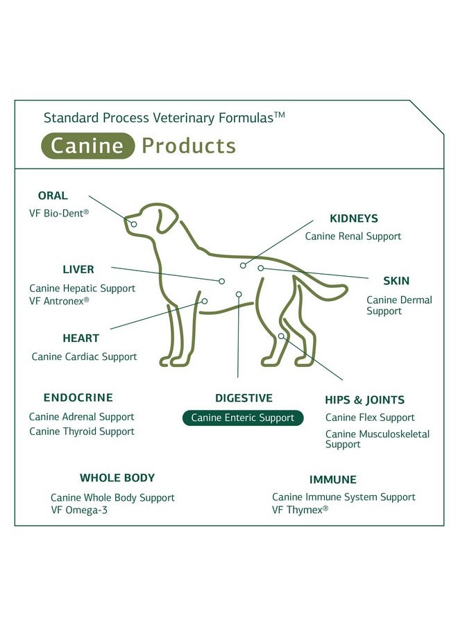 Standard Process Standard Process Canine Enteric Support - Digestive System Support for Dogs - Nutritional Dog Supplement for Gut Health - Canine Supplement Formula to Aid Healthy Digestion - 110 g  - Image 5