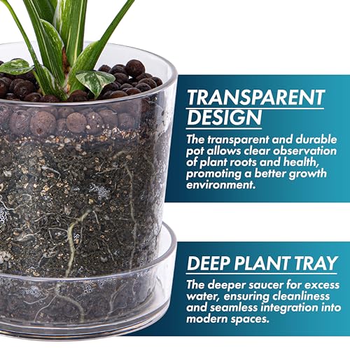 Phoenix Vine 6.5 InchClear Acrylic Planter Pot with Tray, Orchid Pot with Drainage Holes, Deep Saucer for Bottom Watering, Transparent Containers for Indoor Plants, Herbs, Set of 2, 91-A-F-2 - Image 4
