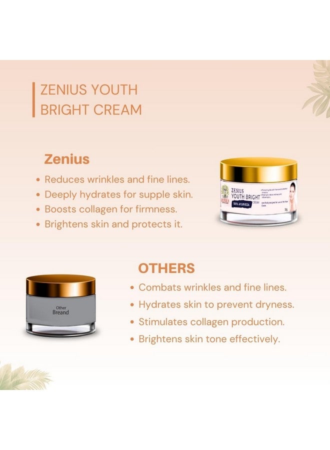 Zenius Youth Bright Cream Youthful Skin: Cream for a Radiant Complexion and Winter Care (30G) - Image 5