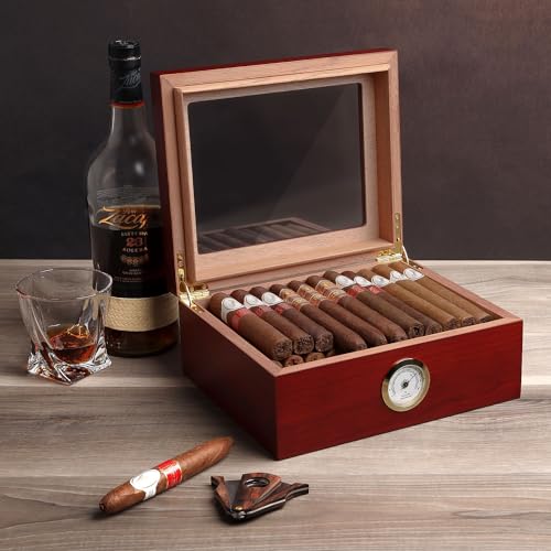 Mantello Cigars 25-50 Cigar Desktop Humidor Humidifier Royale Glasstop - Image 4
