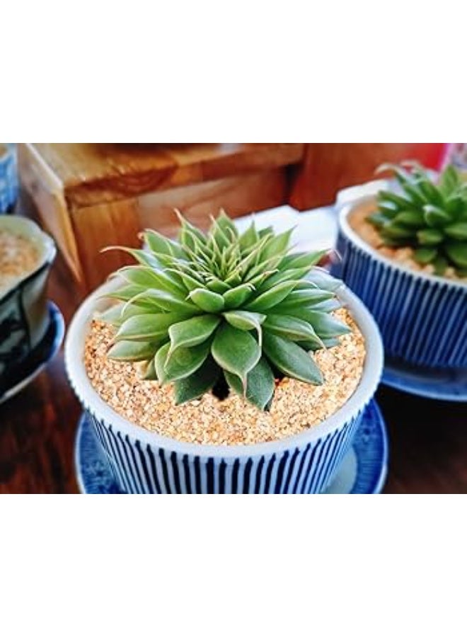 للاستخدامات المنزلية رمل خشن أو زلط صغير جدا حجم 1 الى 4 مل تقريبا - طبيعي تماما مناسب لأحواض الزرع و أحواض السمك والديكورات الداخلية المختلفة عبوة اقتصادية وزن 1 كجم - Image 1