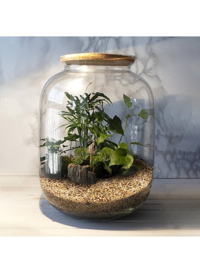 للاستخدامات المنزلية رمل خشن أو زلط صغير جدا حجم 1 الى 4 مل تقريبا - طبيعي تماما مناسب لأحواض الزرع و أحواض السمك والديكورات الداخلية المختلفة عبوة اقتصادية وزن 1 كجم - Image 4