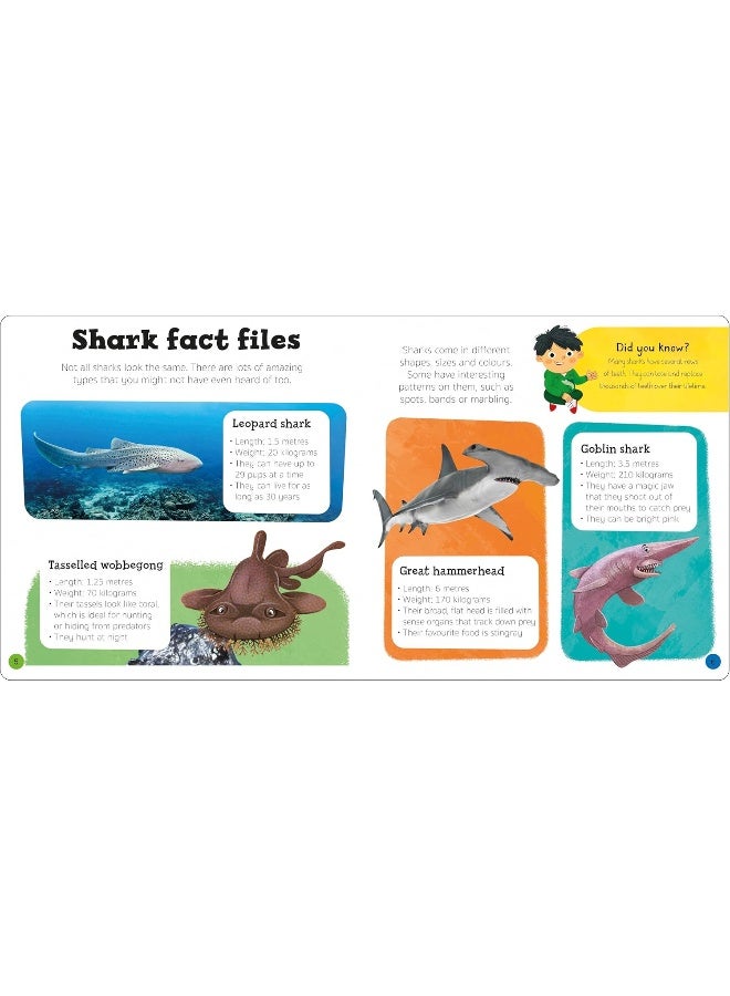 Priddy Explorers Sharks - Image 3