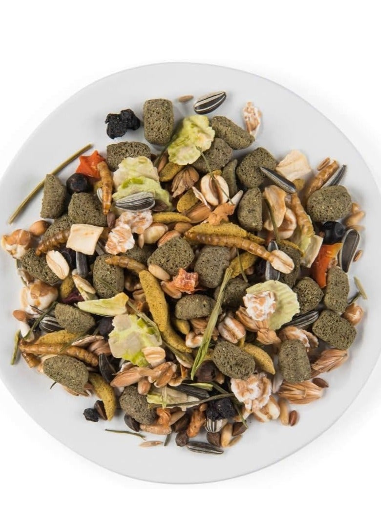 ويت مولين بور الهامستر القزم والأصدقاء 400 جرام - Image 3