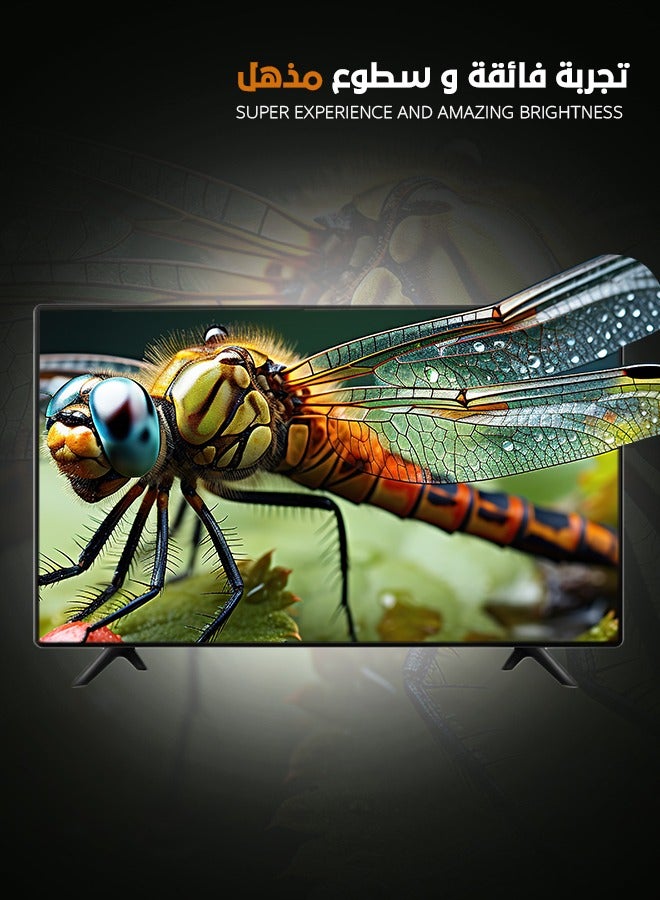 ارو شاشة سمارت - 55 بوصة - 4K FHD - نظام ويب اوس - RO-55LPW - Image 2