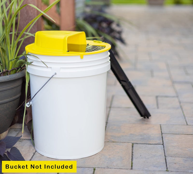 RinneTraps - Flip N Slide Bucket Lid Mouse Trap |2 Pack| |Multi Catch| |Made in USA | US Pat D1,039,648s - Image 4