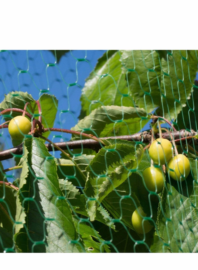 NIBEMINENT Green Anti Bird Protection Net, Mesh Garden Plant Netting Protect Plants and Fruit Trees from Rodents Birds Deer Poultry Best for Seedlings, Vegetables,Fruit,Bushes,Reusable Fencing (13.2Wx20L(Ft))  - Image 4