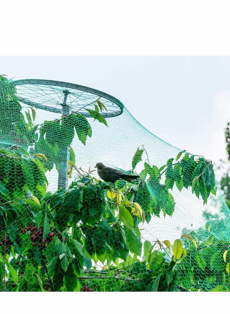 NIBEMINENT Green Anti Bird Protection Net, Mesh Garden Plant Netting Protect Plants and Fruit Trees from Rodents Birds Deer Poultry Best for Seedlings, Vegetables,Fruit,Bushes,Reusable Fencing (13.2Wx20L(Ft))  - Image 3