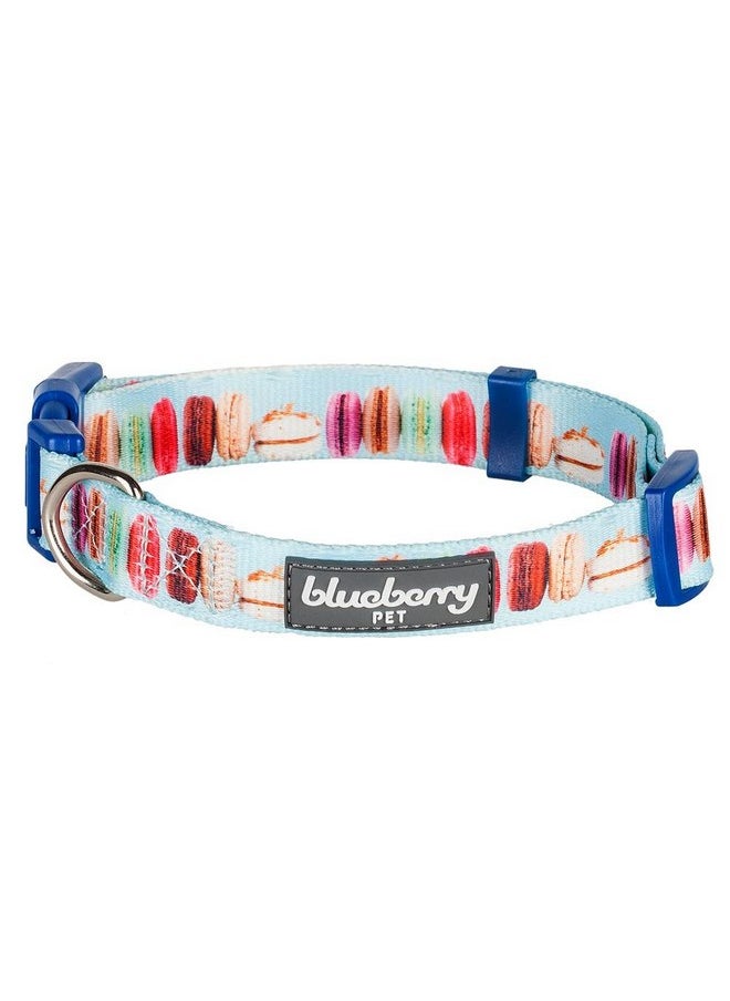 Blueberry Pet Essentials The Ultimate Macaroon Cake Adjustable Dog Collar, Small, Neck 12"-16" - pzsku/Z8E7F0C7A81F147DFE979Z/45/_/1737031447/bec228a9-3ab3-44f4-8d1c-abc1de4d2962