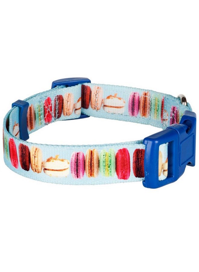 Blueberry Pet Essentials The Ultimate Macaroon Cake Adjustable Dog Collar, Small, Neck 12"-16" - pzsku/Z8E7F0C7A81F147DFE979Z/45/_/1737031457/16bdb4cb-a79c-4dc4-9b98-04340f11fd73