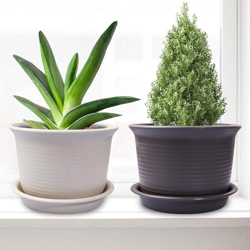 INKULTURE Plastic Round Flower Pots with Tray for Home Planters, Terrace, Garden Etc | Pack of 05 | Dark Grey | Size 8 Inch | for Home Indoor & Outdoor Gardening Plants - Image 2