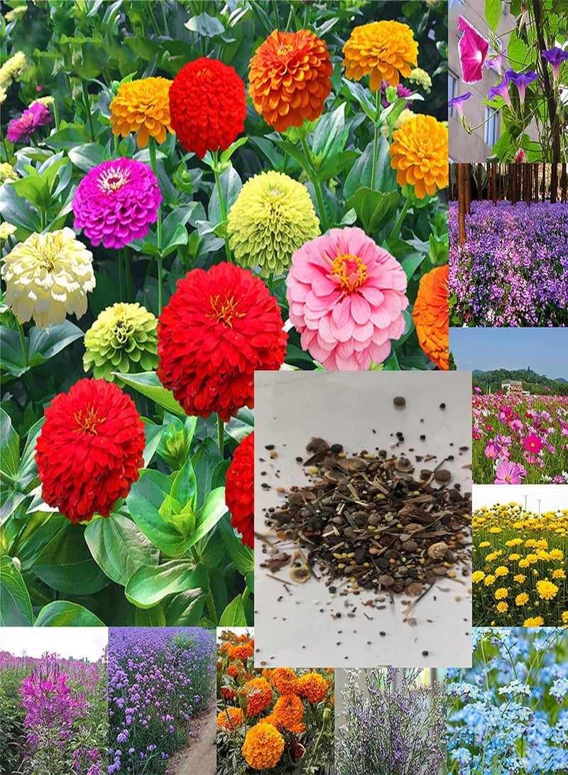 GGOOT 10 Bags Garden Seeds for Planting, Aesthetic Easy to Grow Colorful Mixed Flower Seeds for Yard Easy to Plant,Gardening,Home Decor - Mixed Flower Seeds - Image 1