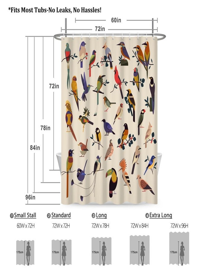 Renaiss 72 x 72 Inch Bird Shower Curtain for Bathroom Colorful Cute Parrot Birds on Tree Branch Farmhouse Funny Shower Curtains Polyester Waterproof Bathroom Decor Curtain Bath Decor with 12 Hooks - Image 5