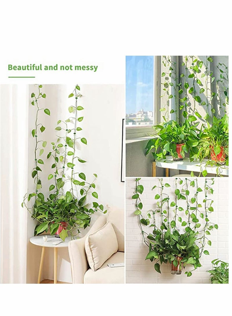 KASTWAVE 100PCS Garden Plant Climbing Wall Fixture Clips, Invisible Self-Adhesive Fixer Sticky Hook Plants Climbing Wall Support Clip for Supporting Stems Grow Upright, Vines Traction - Image 3