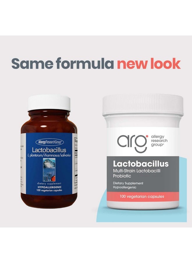 اليرجي ريسيرتش جروب - مجموعة أبحاث الحساسية - مكمل Lactobacillus - البروبيوتيك للرجال والنساء، صحة الجهاز الهضمي، صحة الأمعاء، كبسولات نباتية - 100 كبسولة - Image 1